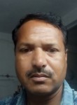 Pratap Singh, 29 лет, Delhi