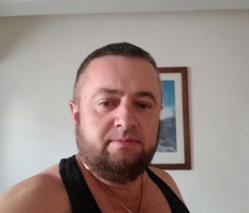 Radu Vasilcan, 45 лет, Ostrava
