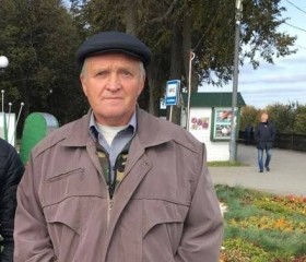 Геннадий, 60 лет, Ярославль