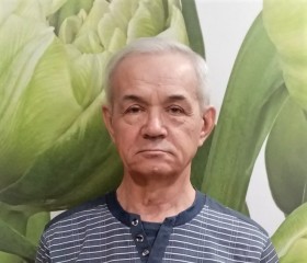 Сергей, 76 лет, Вологда
