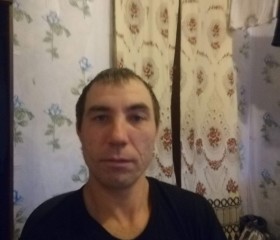 Владимир Игошкин, 39 лет, Омск