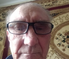 Виктор, 73 года, Тамбов