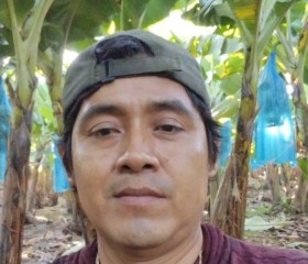 Dani, 36 лет, Coahuayana Viejo