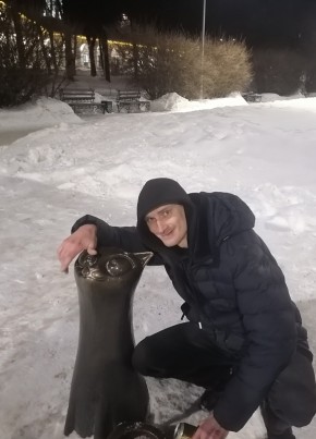 Евгений, 34, Россия, Лакинск