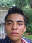 Joaquín osorio, 26 лет, Cuautla Morelos