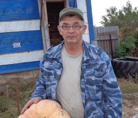 Николай, 67 лет, Оренбург
