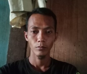 Mohlison Lison, 30 лет, Kota Semarang