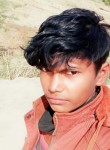 Dev Thakor, 19 лет, Ahmedabad