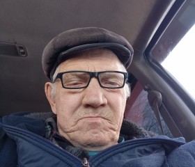 Nikolay, 61, Zavitinsk