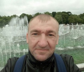 Денис, 41 год, Александров