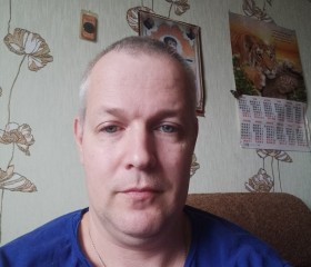 Денис, 45 лет, Воронеж