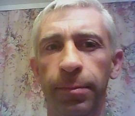 Владимир, 44 года, Псков