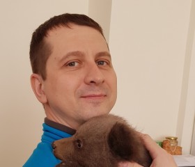 Илья, 42 года, Кострома