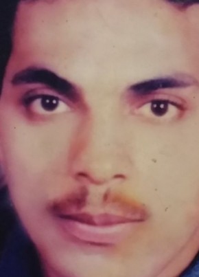  احمد حنفي , 31, جمهورية مصر العربية, القاهرة