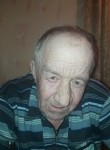 Виктор, 72 года, Самара