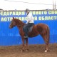 Nikolay, 60 - 1