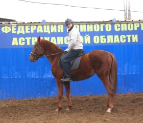 Николай, 62 года, Астрахань