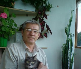 Роман, 66 лет, Manavgat