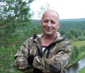 Дмитрий, 48 лет, Талица