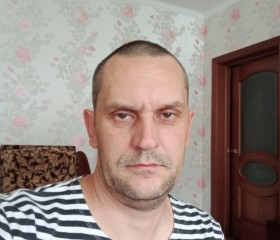 Семен Брызгалов, 43 года, Санкт-Петербург