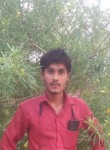 Ravi Rajput, 25 лет, Lucknow