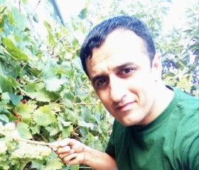 Reshad, 41 год, Bakı
