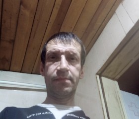 Анатолий Комаров, 42 года, Вихоревка