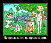 Открыть в полном размере