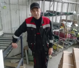 Анатолий Иванов, 53 года, Череповец