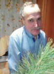 Николай, 65 лет, Полевской