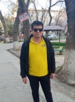 Сарик, 31 год, Toshkent