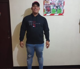 Diego perez, 27 лет, Lima