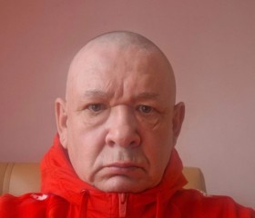 Юрий, 56 лет, Димитровград