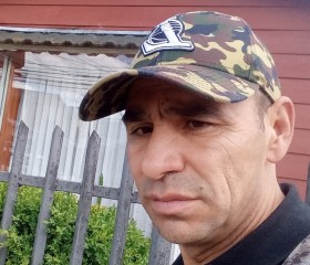 Juan, 49 лет, Osorno
