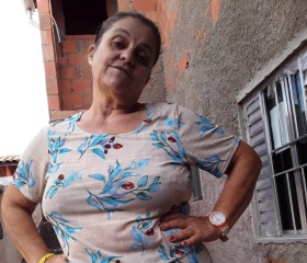 Rosimeire Alves , 61 год, Louveira
