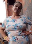 Rosimeire Alves , 61 год, Louveira