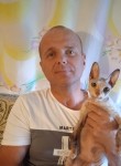 Дима, 51 год, Коряжма