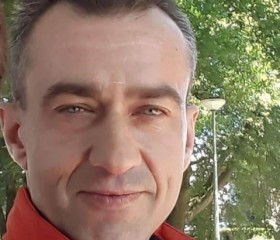 Stelian, 48 лет, Câmpulung Moldovenesc