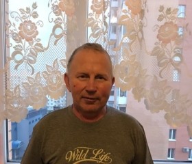 Анатолий, 63 года, Сланцы