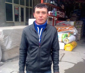 Али, 40 лет, Бишкек