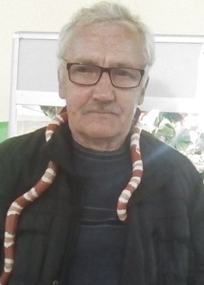 Слава, 65, Россия, Псков