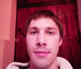 Илья, 29 лет, Донской (Тула)