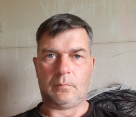Валерий, 47 лет, Железногорск (Курская обл.)