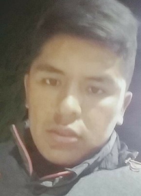 David , 28, Estado Plurinacional de Bolivia, Santa Cruz de la Sierra