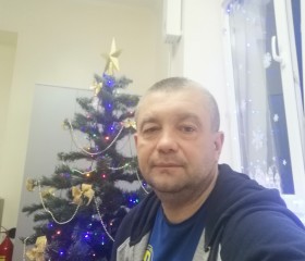 Дима, 47 лет, Берасьце