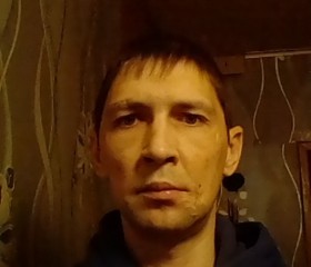 александр, 37 лет, Камешково