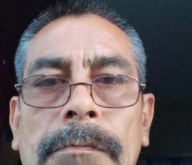 Raul Rocha, 59 лет, México Distrito Federal