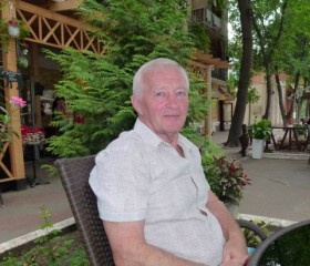 Сергей, 75 лет, Псков