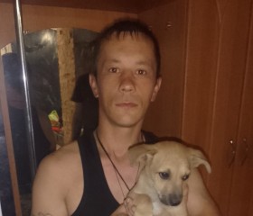 Виктор, 33 года, Новопсков