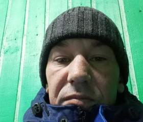 Дмитрий, 41 год, Костомукша